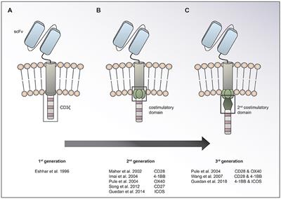 Making CAR T Cells a Solid Option for Solid Tumors